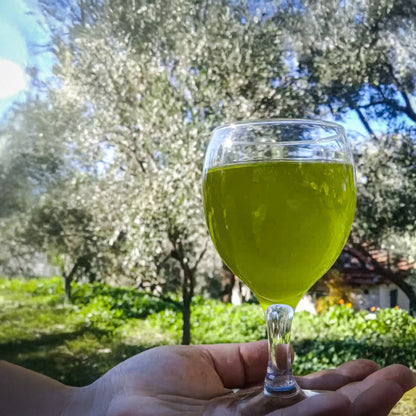 2025_ 2026  Ekim Ayı Yeni Hasat Premium Zeytinyağı 750 Ml. Cam Şişe